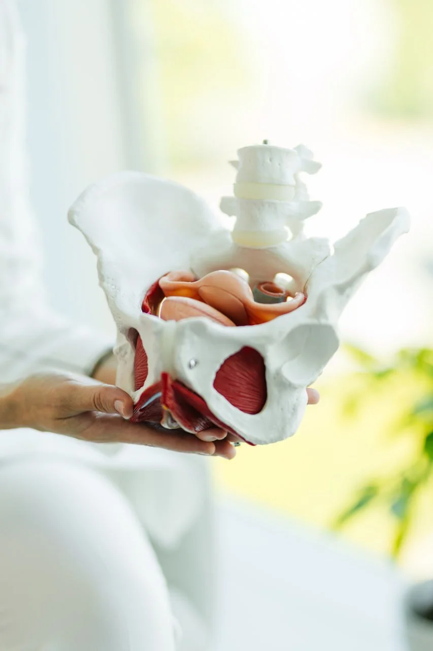 Pelvic-floor-physiotherapy-Burnaby-Bc-OVA-Clinic-Canada-2.jpg