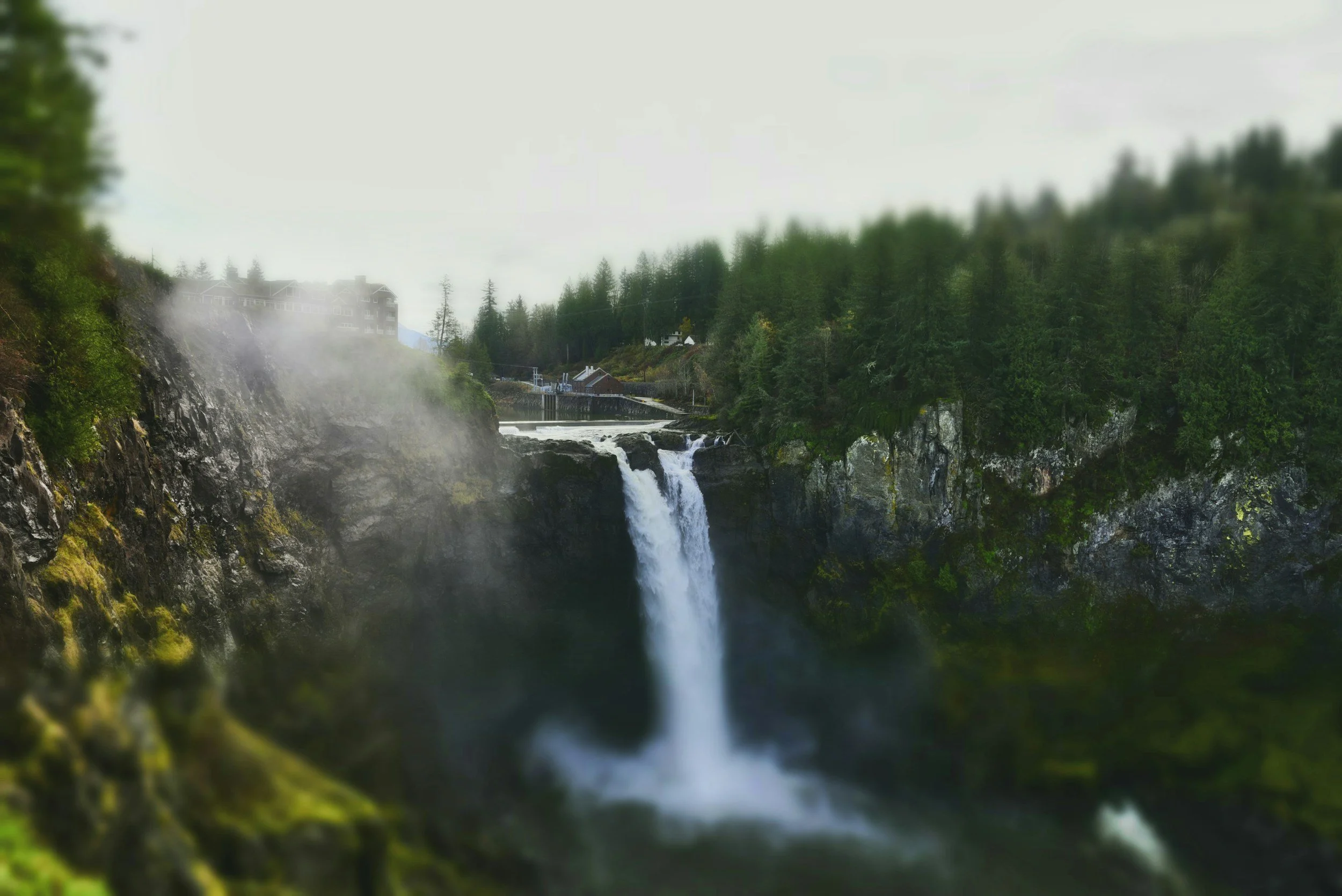 Movies and Shows to Watch If You Loved Twin Peaks