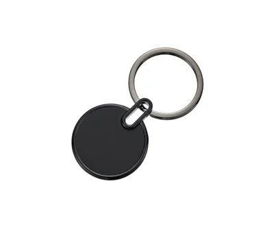ALPINE Black Key Chain