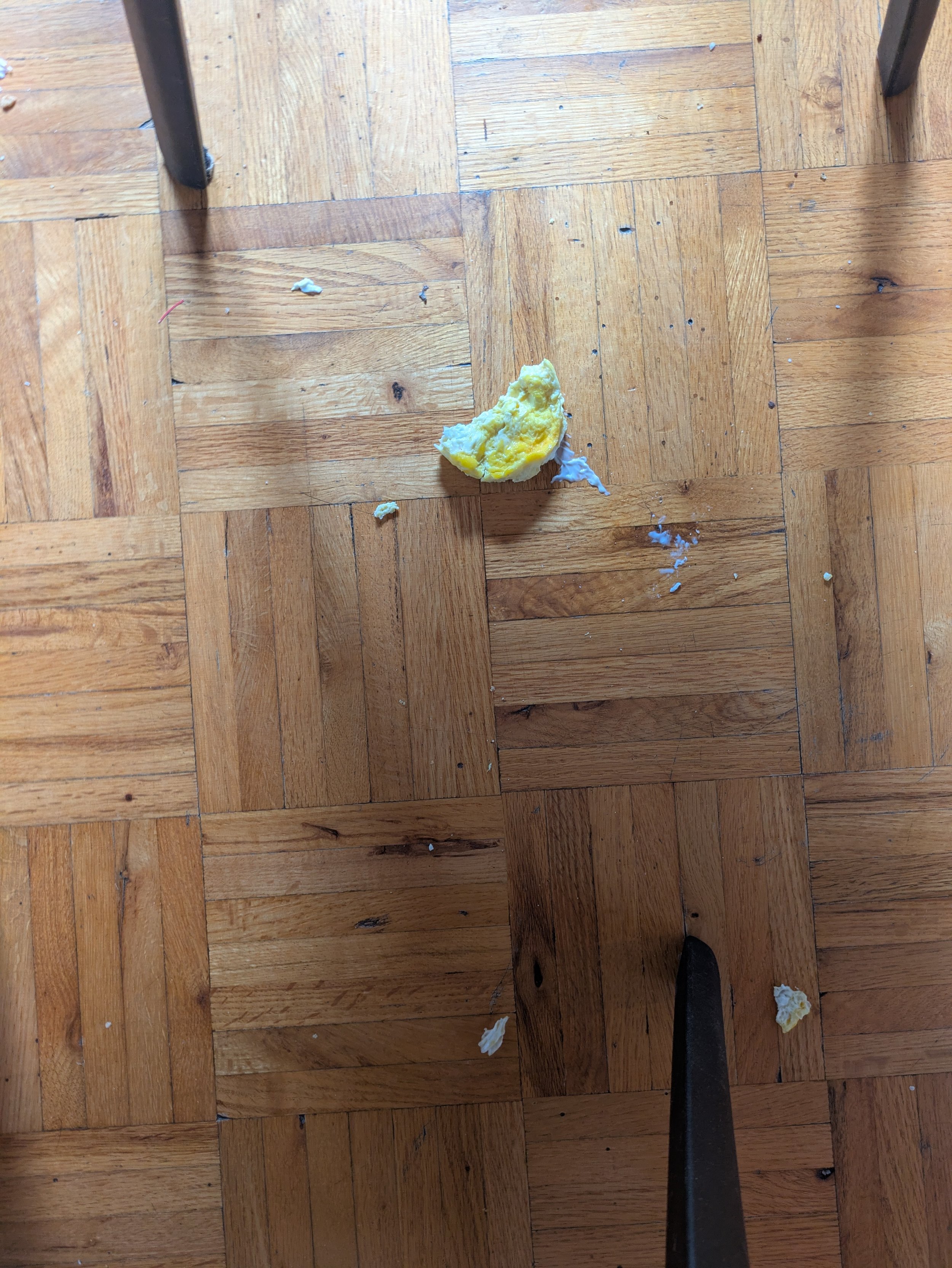 Oeuf sur le plancher