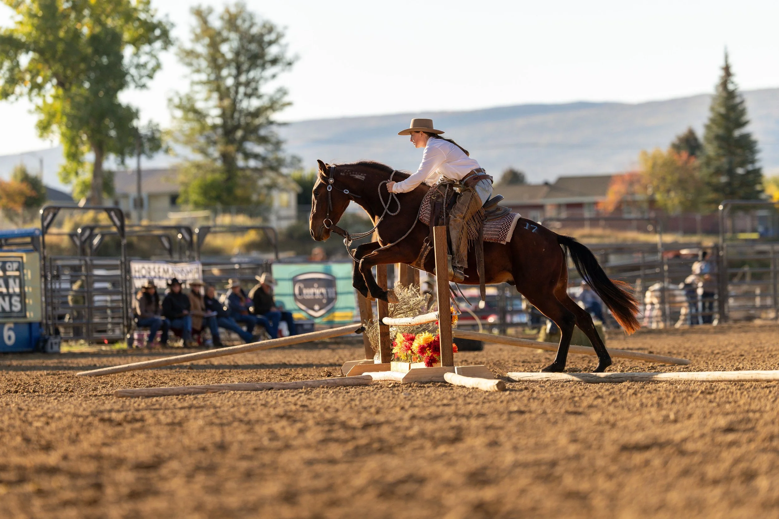 Mustang Only Horse Show
