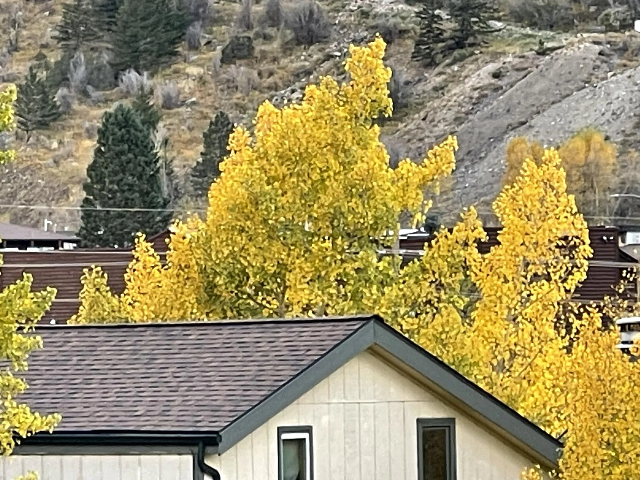 Roof Replacement Signs - 10 Things Homeowners Must Watch For