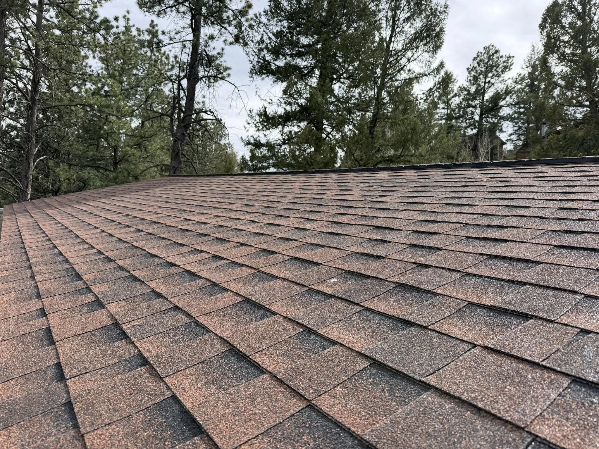 close up photo of brown roofing shingles | Roof Repair in Lakewood, Colorado | Troost Roofing