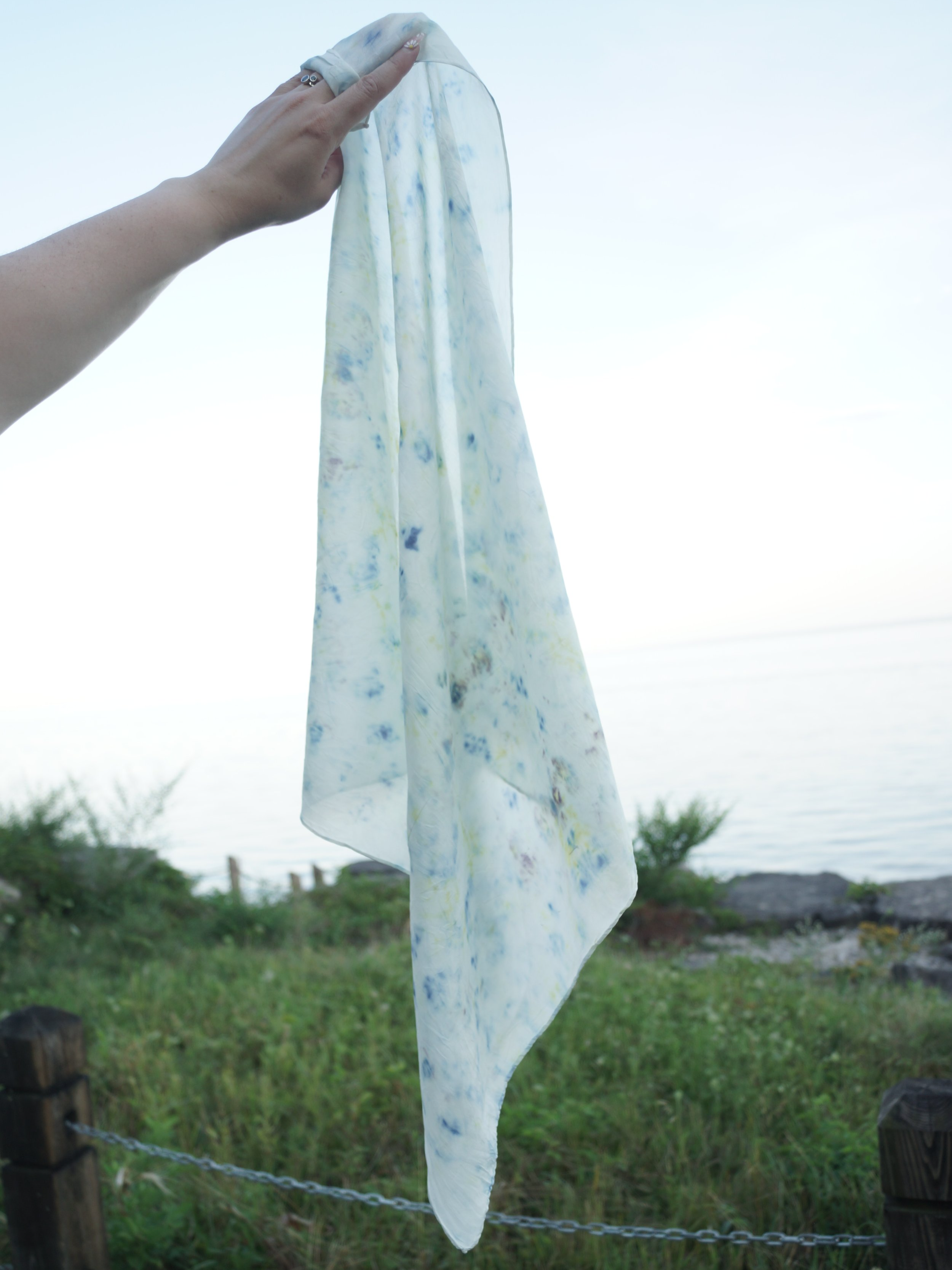 DSC07075.png