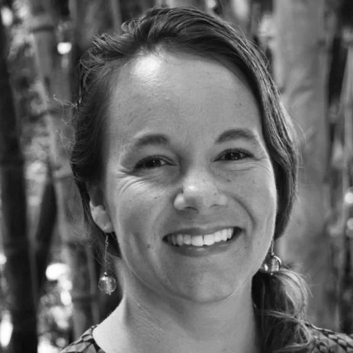 David Syring Board Members — Society for Visual Anthropology