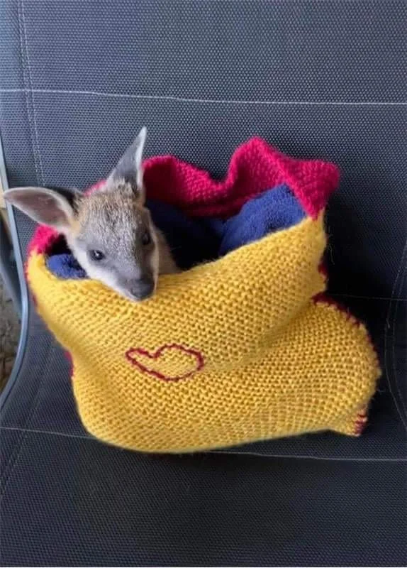 Epiphany 7 - 'Cancel-Culture' and the Sermon on the Plain