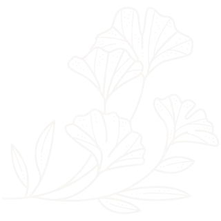 Gingko leaf graphic