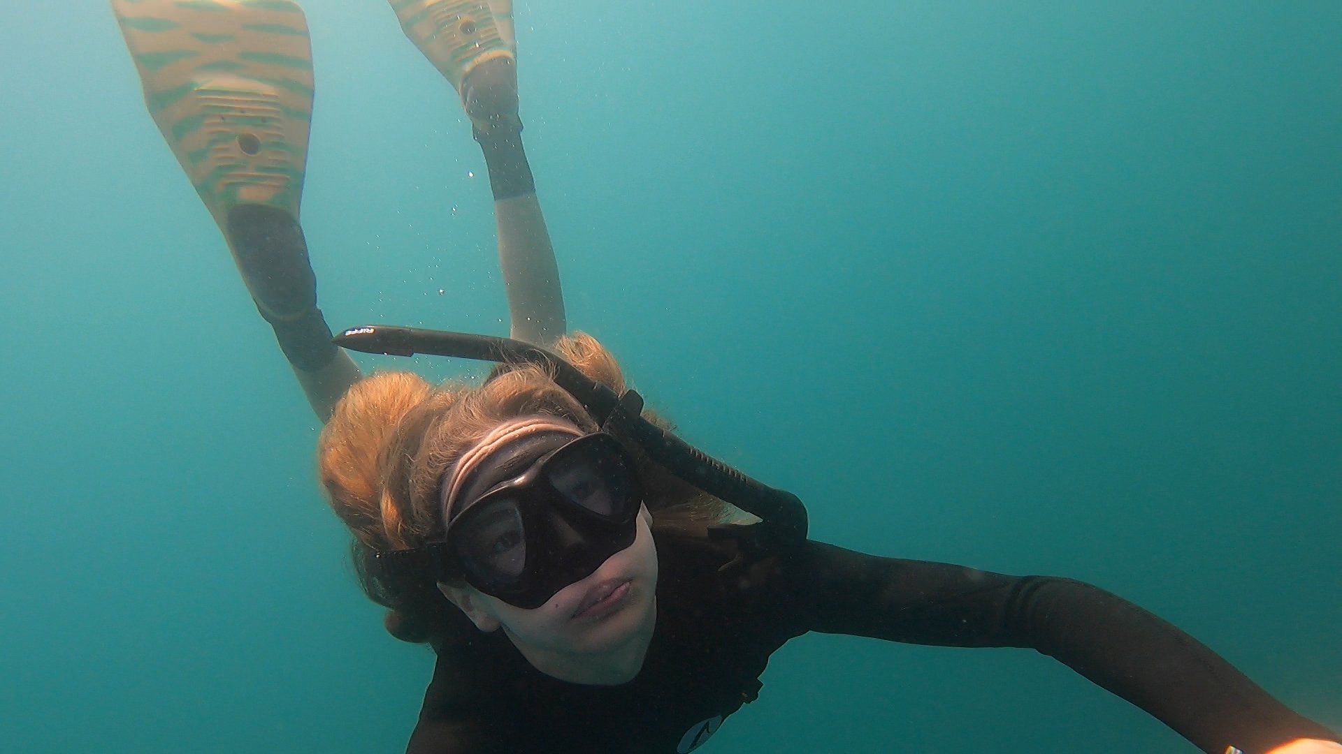 Doc underwater.jpg