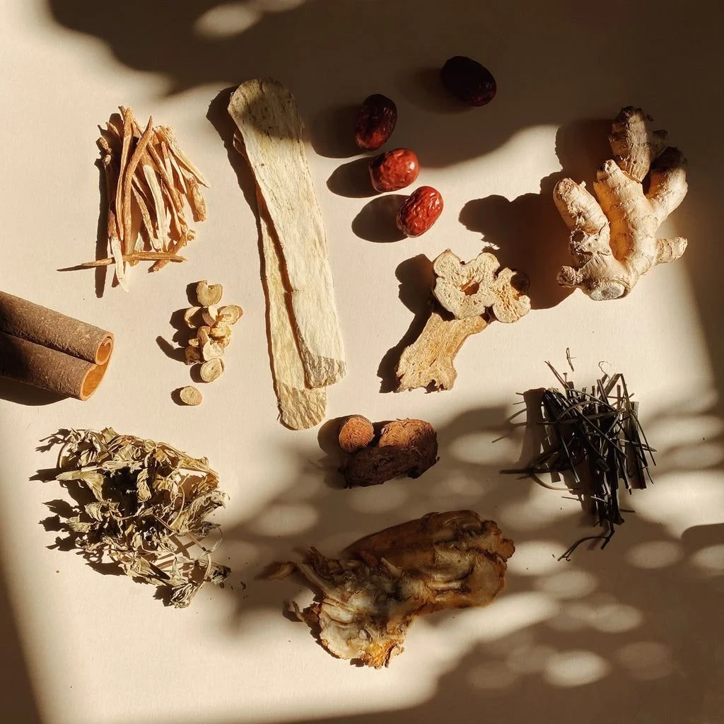 Assorted herbs, roots, and spices laid out on a surface with shadows from nearby foliage.