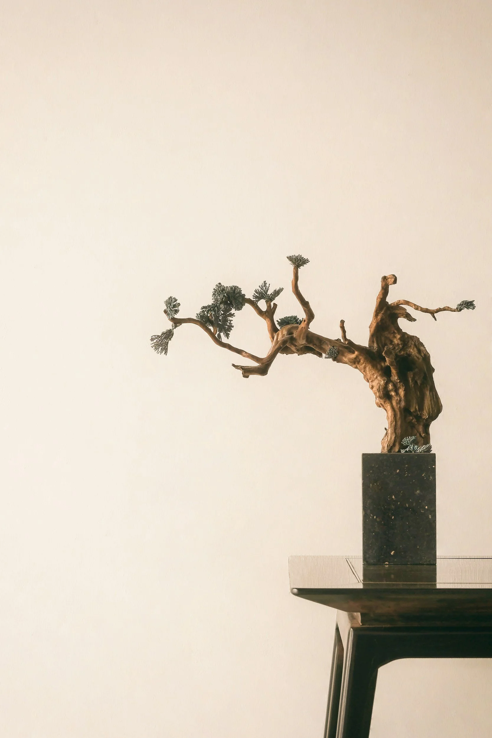 Understanding Your Menstrual Cycle