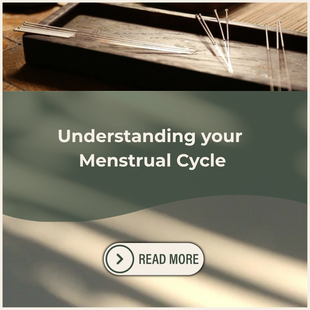 Understanding Your Menstrual Cycle