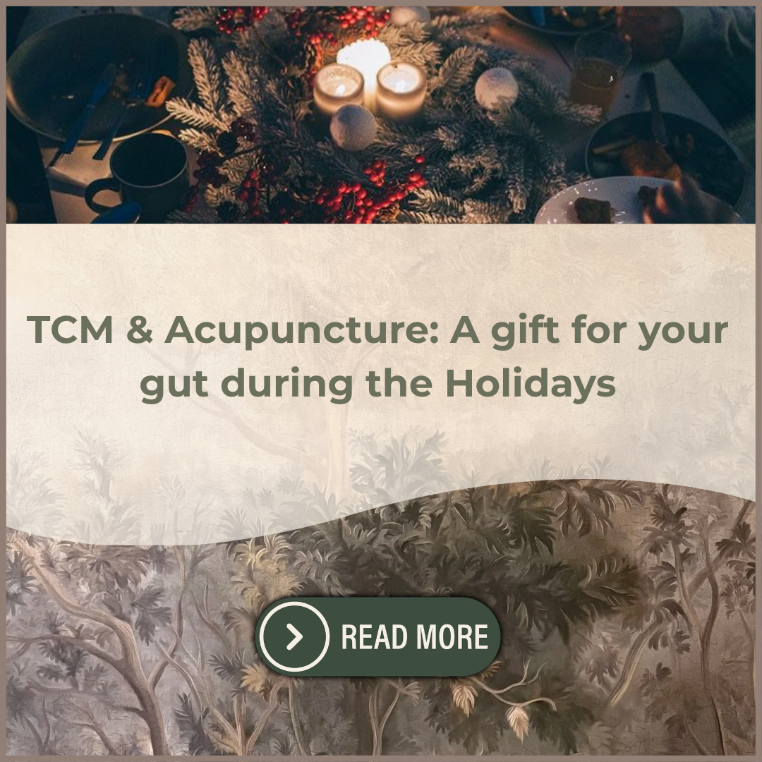 TCM &amp; Acupuncture: A gift for your gut during the Holidays