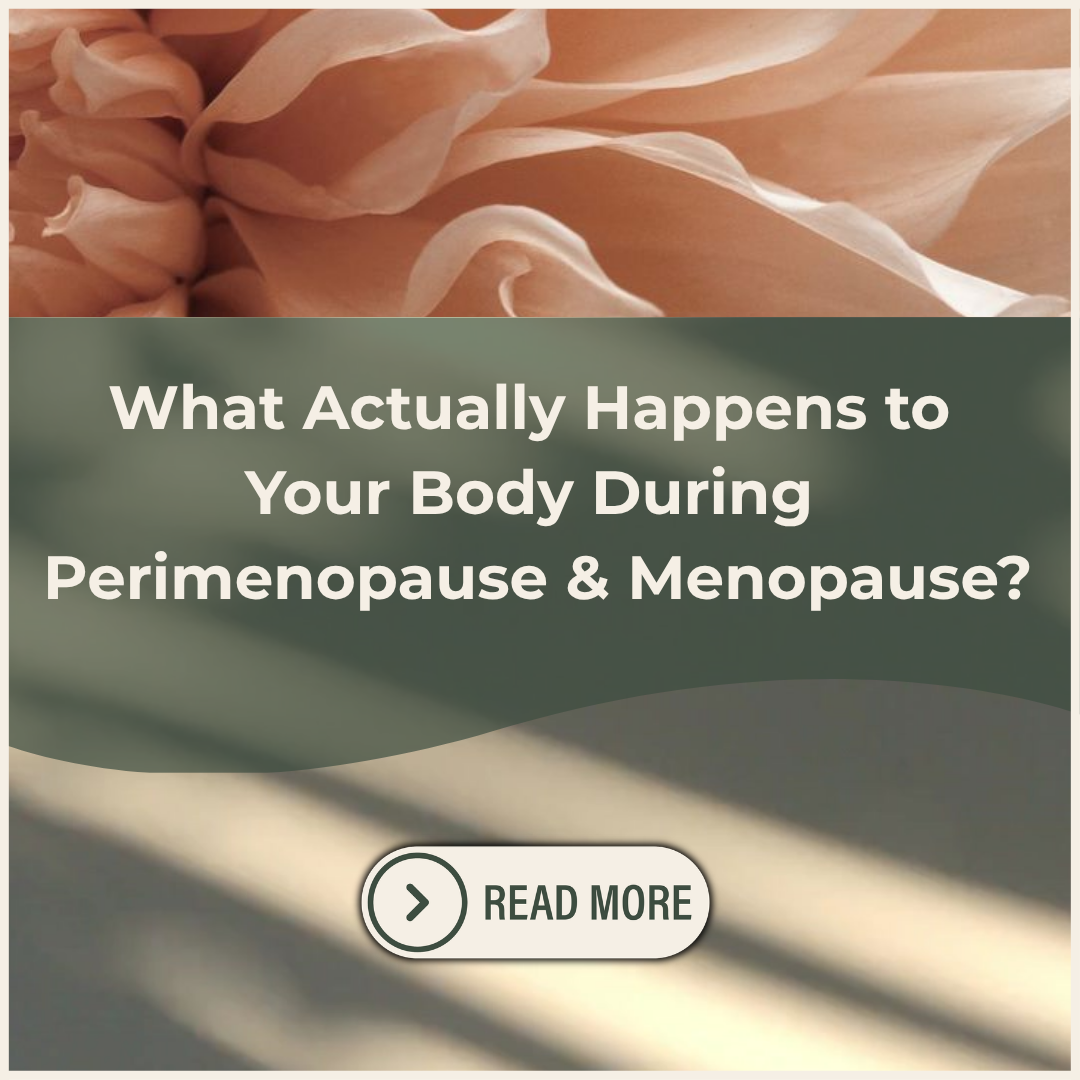 What Actually Happens to Your Body During Perimenopause and Menopause?