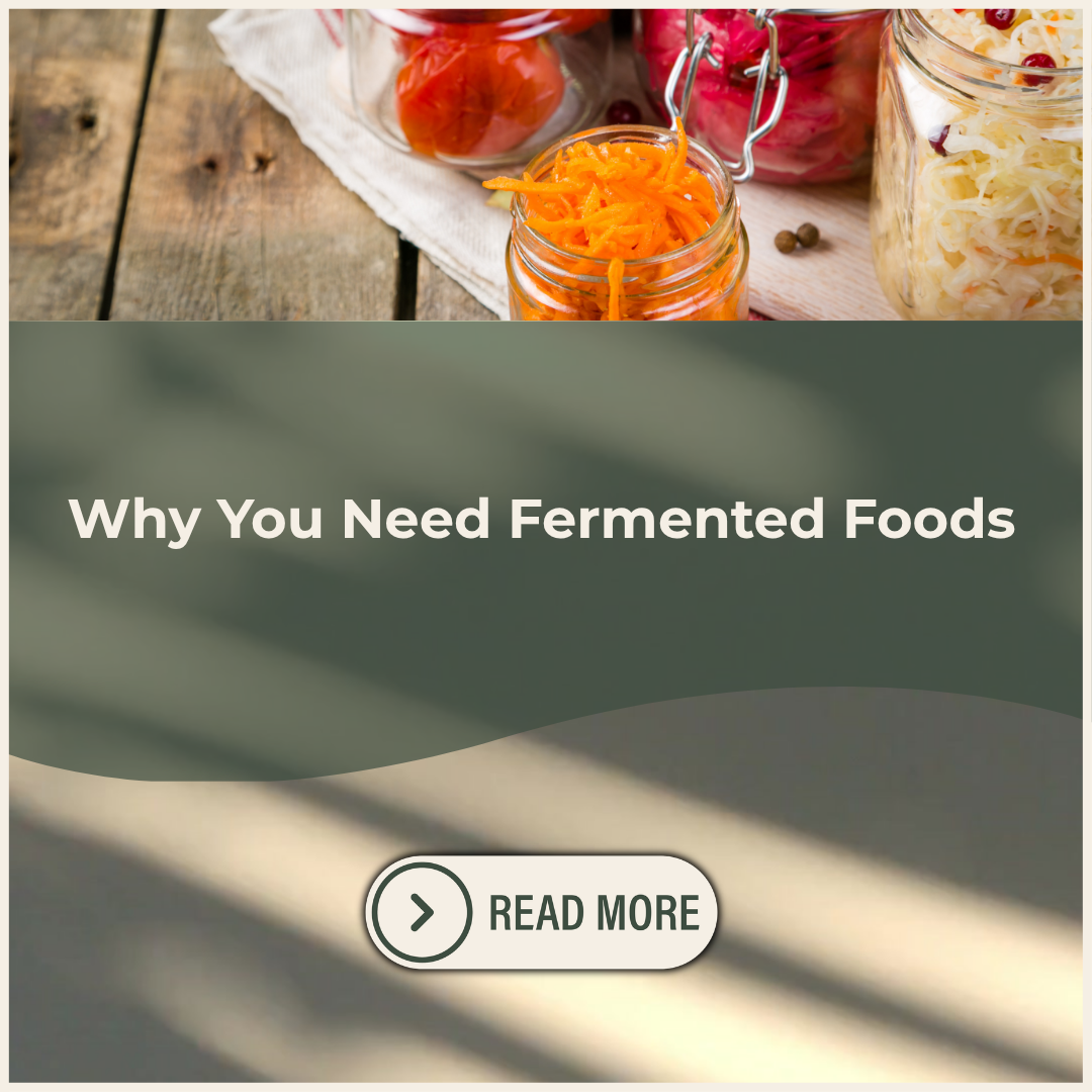 Why You Need Fermented Foods