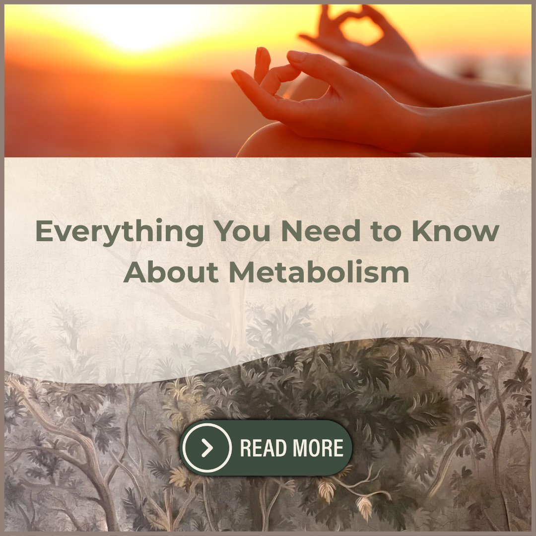 Everything You Need to Know About Metabolism
