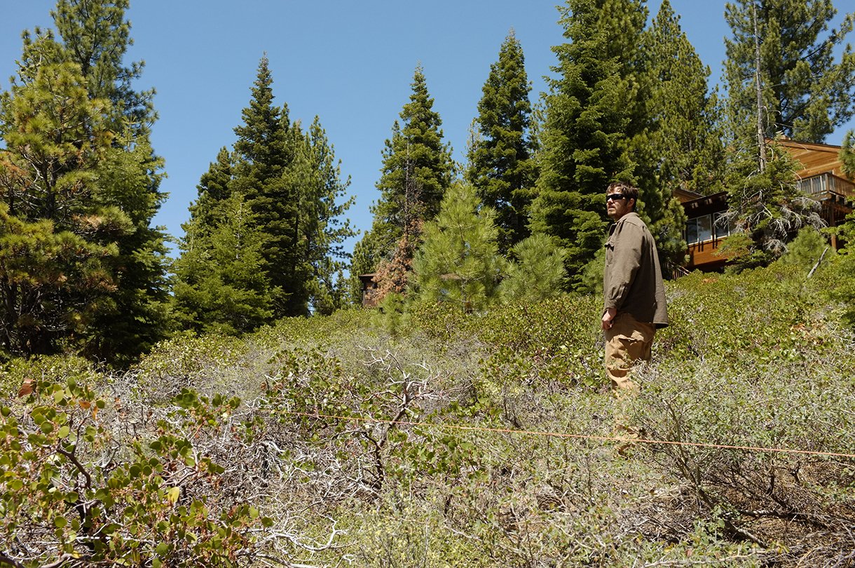 A man standing outdoors in a forested area with tall pine trees and a clear blue sky, near a wooden cabin partially visible in the background.