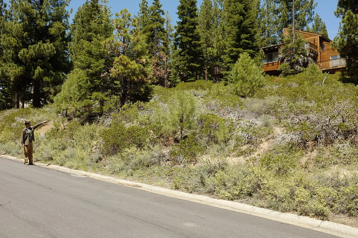 A person standing on the side of a paved road pointing towards a hillside with trees and bushes, with a wooden house partially visible among the trees.