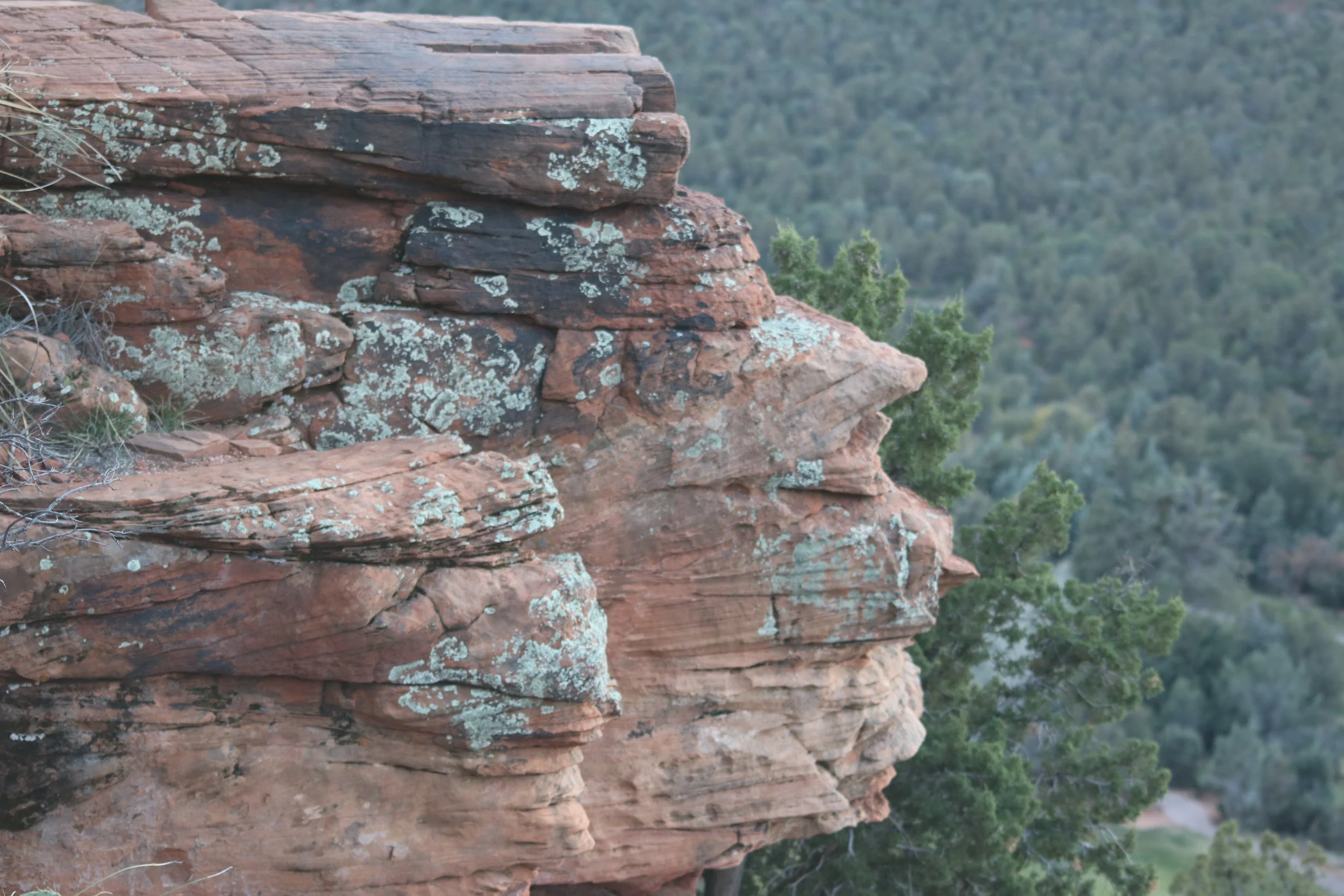 26 Rock Face in Fay Canyon
