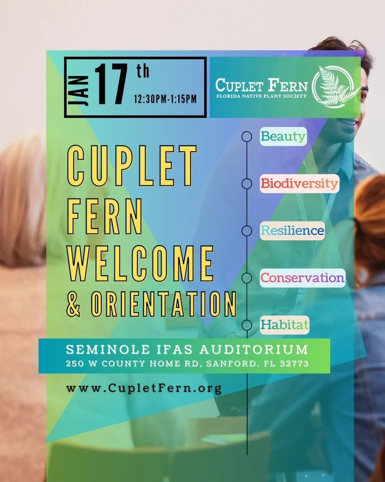 Cuplet Fern Orientation, Seminole IFAS, January 17th 12:30PM - 1:15PM