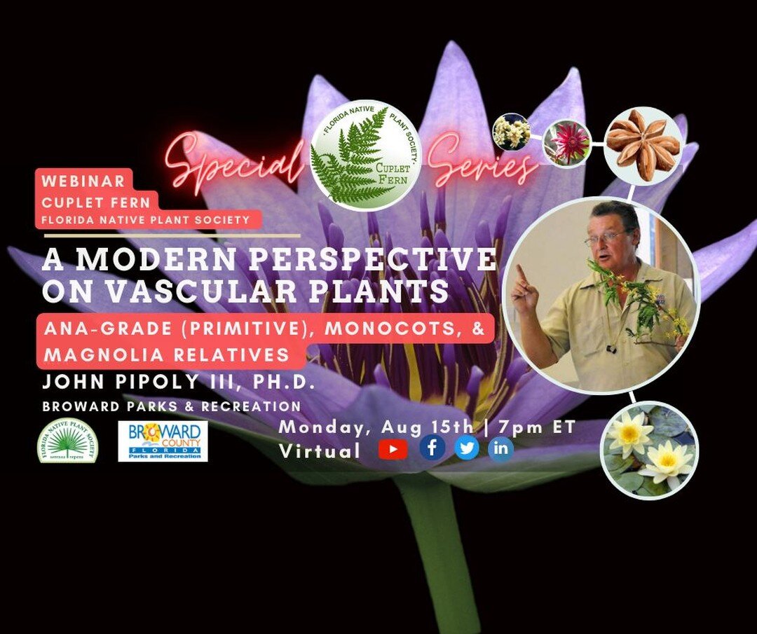 Tonight🌿 Join us for our free Webinar: The World of Vascular Plants- a Modern Perspective. Dr. John Pipoly III from Broward Parks Foundation presents to Cuplet Fern in a 4-part special series. Tune in on our YouTube channel http://tinyurl.com/m2vz42