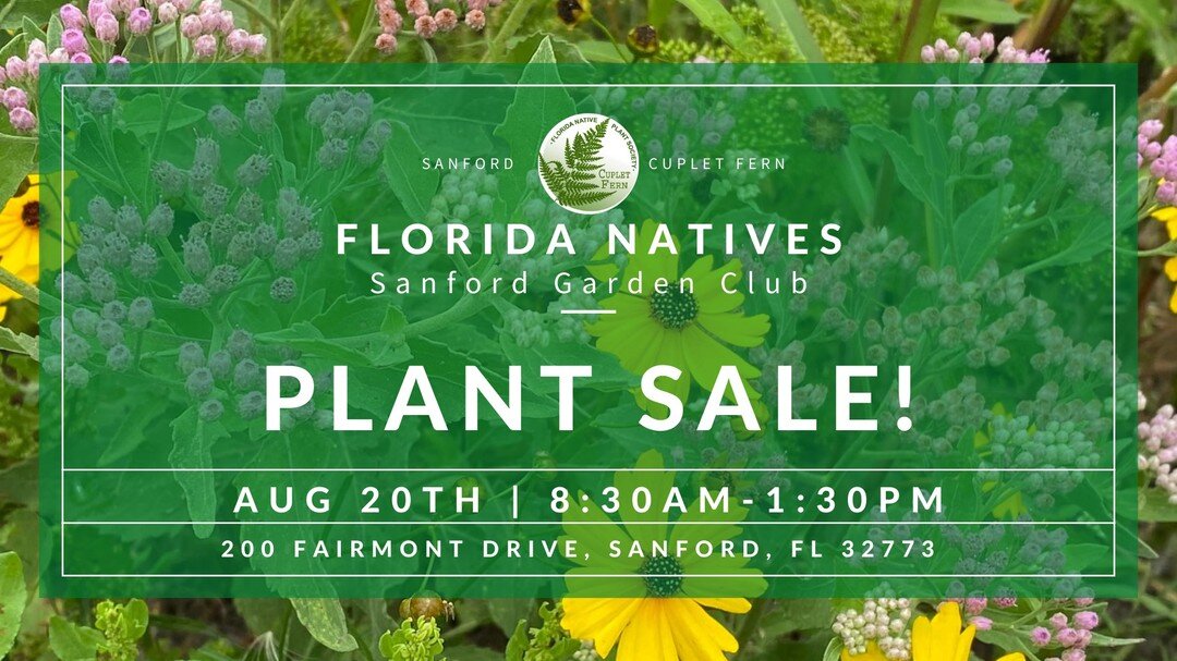 Our Florida Native Plants Sale is this Saturday 🌿 Join Cuplet Fern in helping increase native plant representation across all landscapes in our region. This actually happens to be our vision statement. Florida native plants are the foundation of the