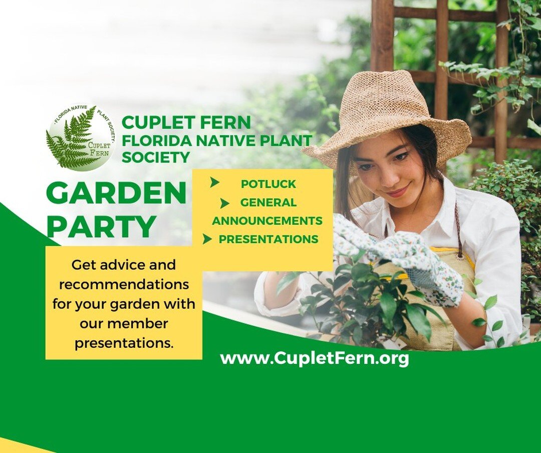 Our in-person program is this Monday evening at the Seminole IFAS Auditorium from 6:45pm-8:45pm 🌿 Join Cuplet Fern members in learning tips and ideas on growing natives for your garden and enjoyment. Florida native plants are the foundation of the p
