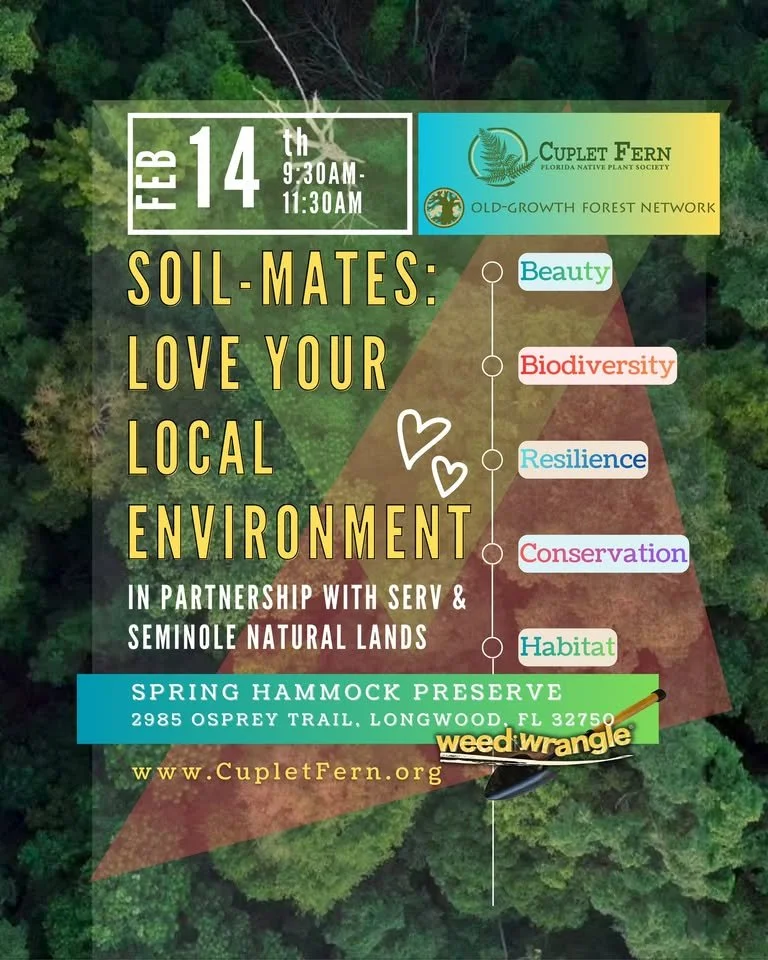 Spring Hammock Preserve Restoration, February 14th 9:30 - 11:30AM