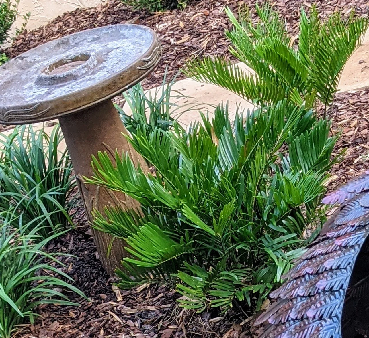 PXL_20210904_140829936.PORTRAIT (4).jpg