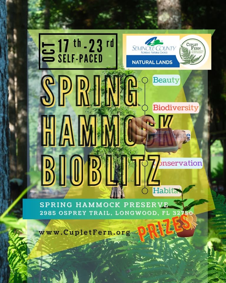 2026 Spring Hammock Preserve Bioblitz — Oct 17, 9:00 AM – Oct 23, 8:00 PM