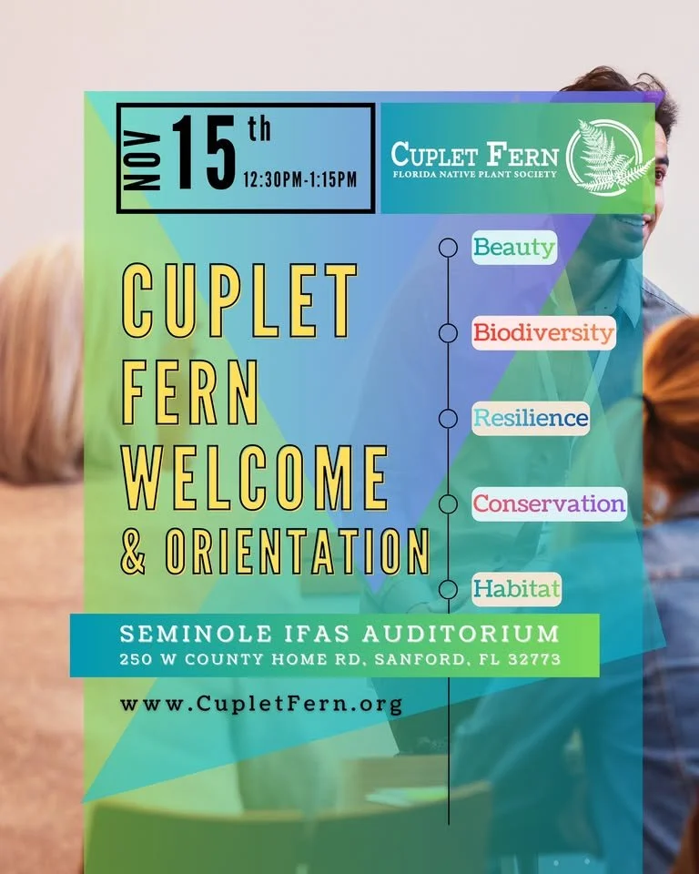Cuplet Fern Orientation: Rooted In! Your CF Journey Begins — Sun Nov 15, 2026, 12:30–1:15 PM