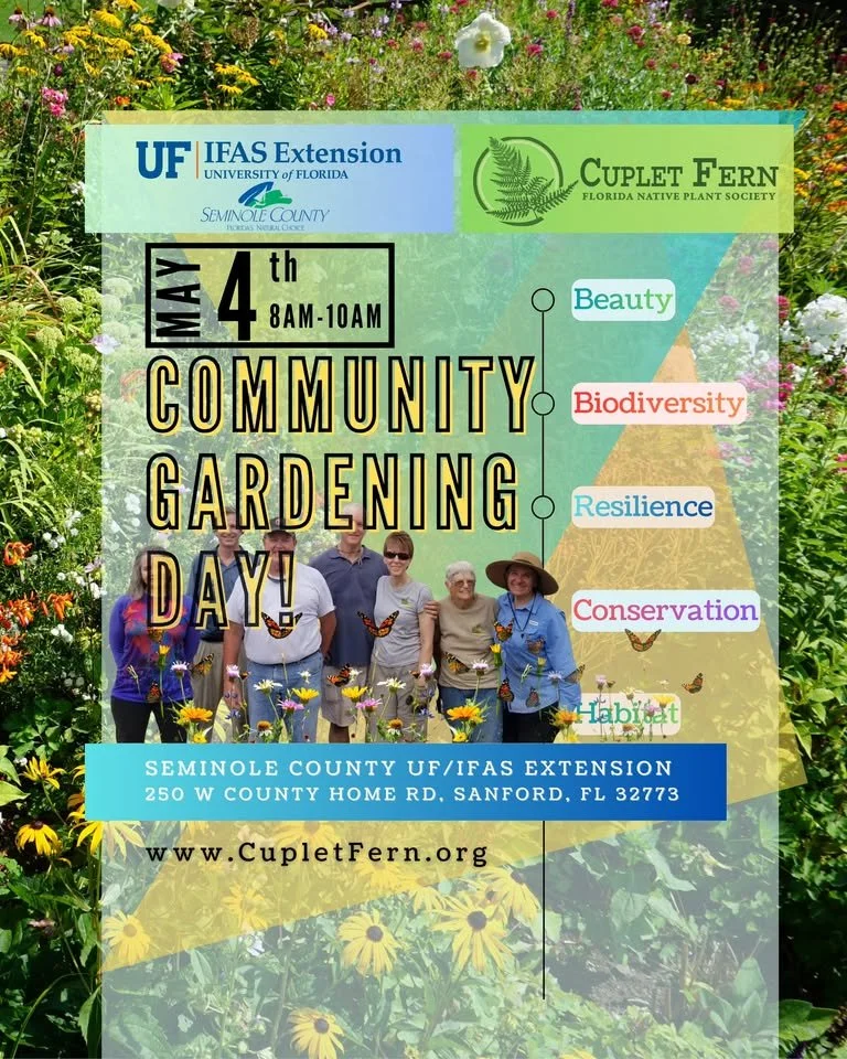 Native Plant Workday, UF Seminole IFAS, May 4th 8-10AM
