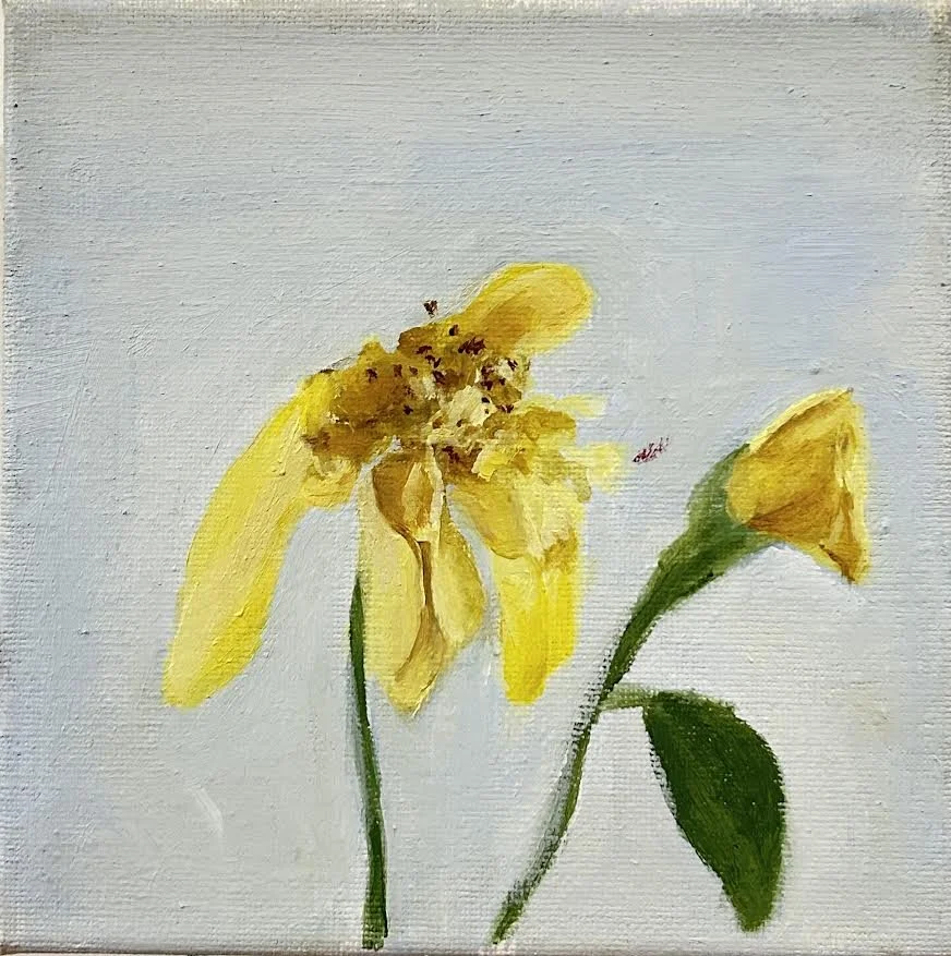   Weijin Zhang  Yellow Rose   