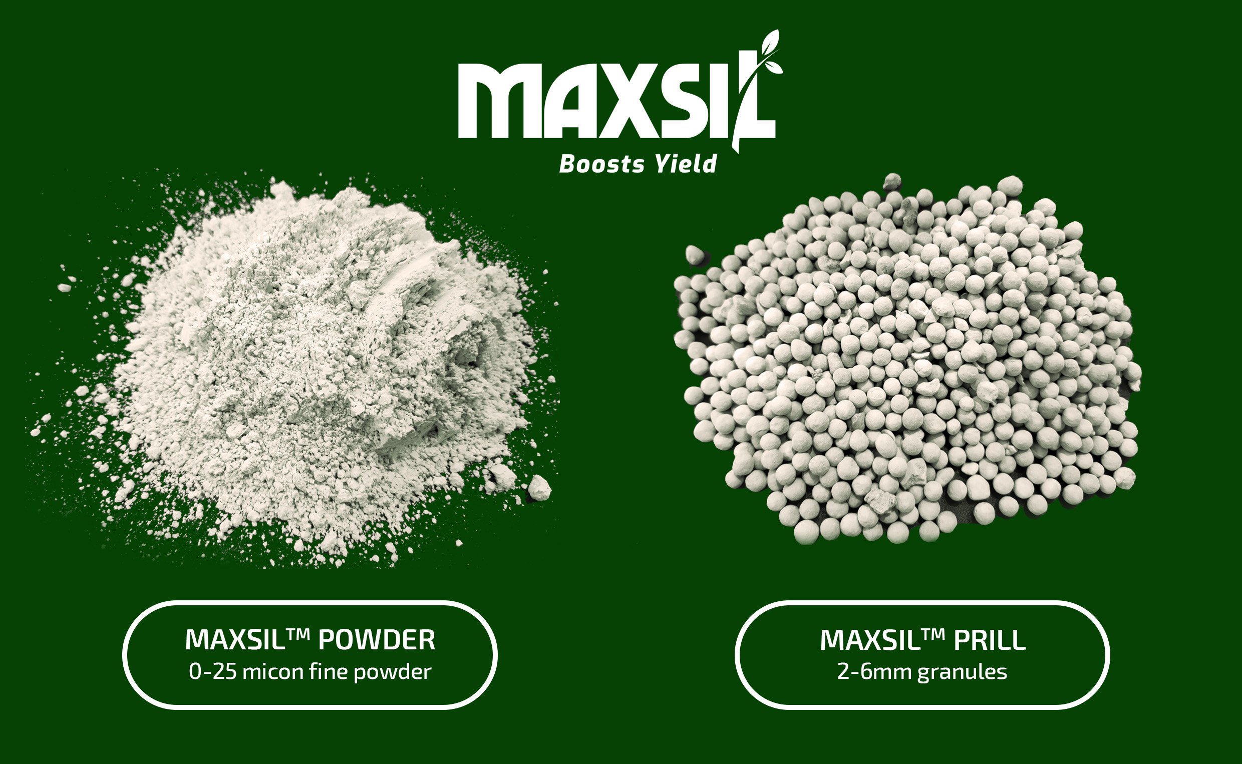 resources-maxsil-silicon-fertiliser-boosts-yield