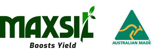 Maxsil Silicon Fertiliser - Boosts Yield