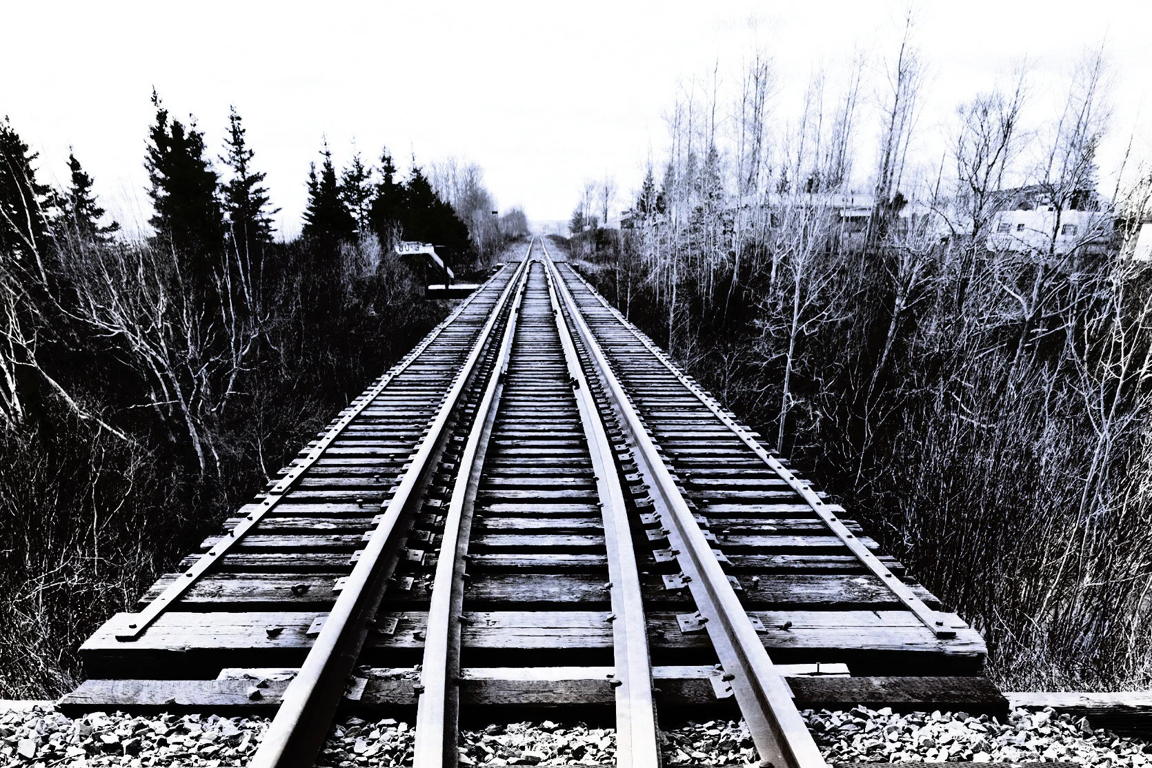 The Bridge // 047