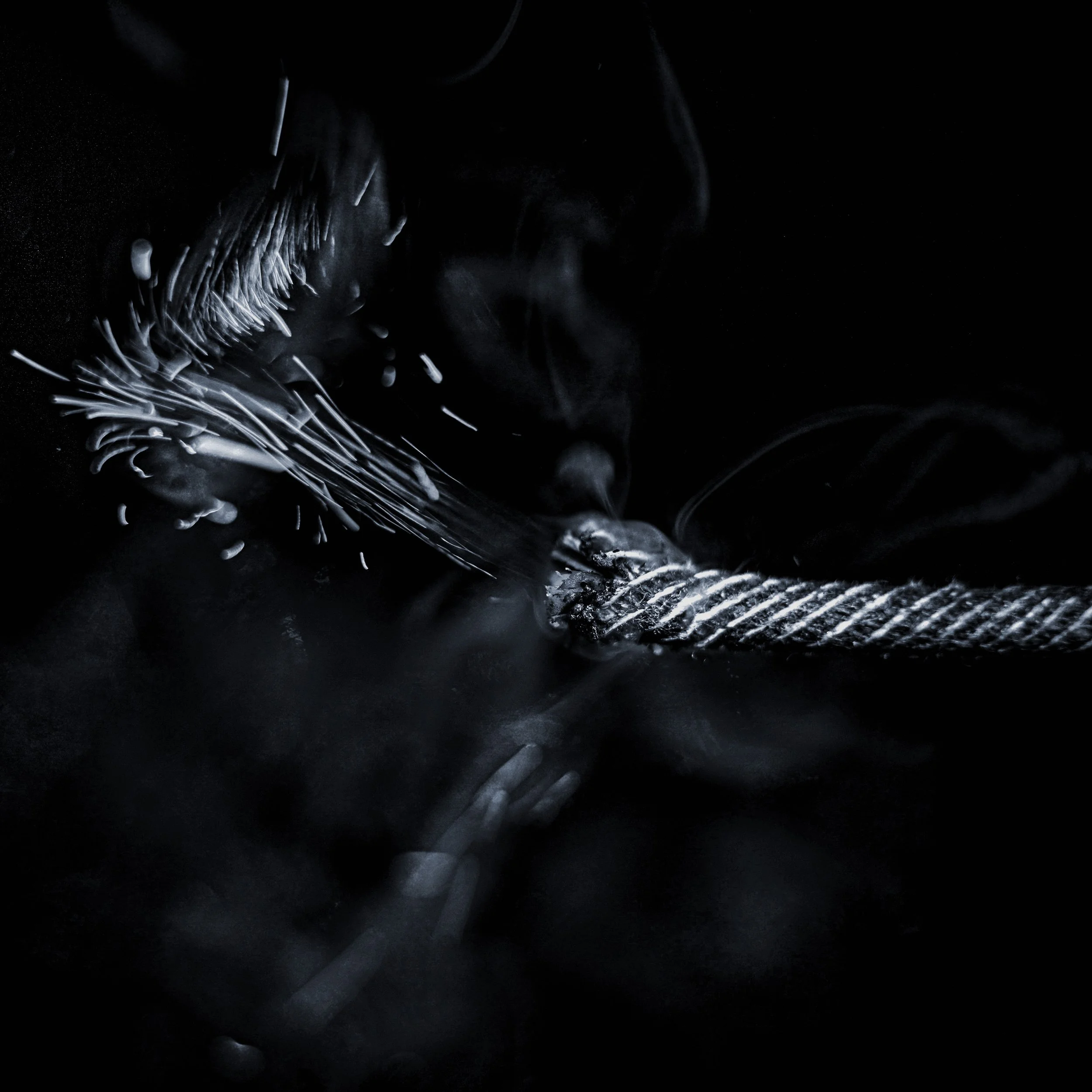 Lights Out // 172