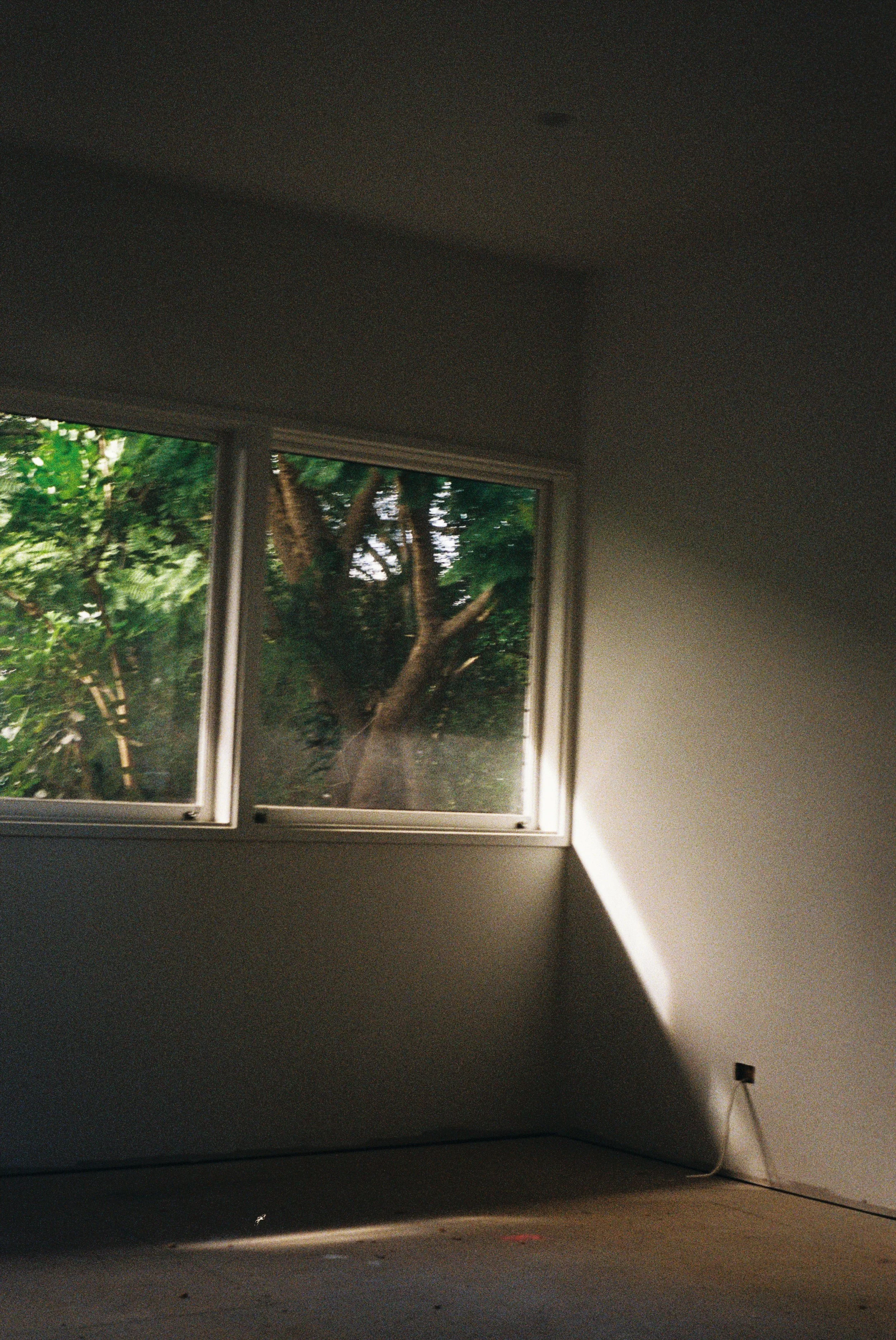 000069.jpg