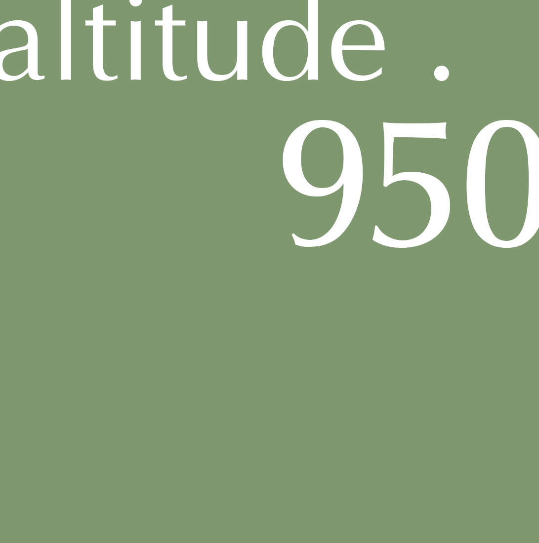 Altitude950 - Design &amp; Construction