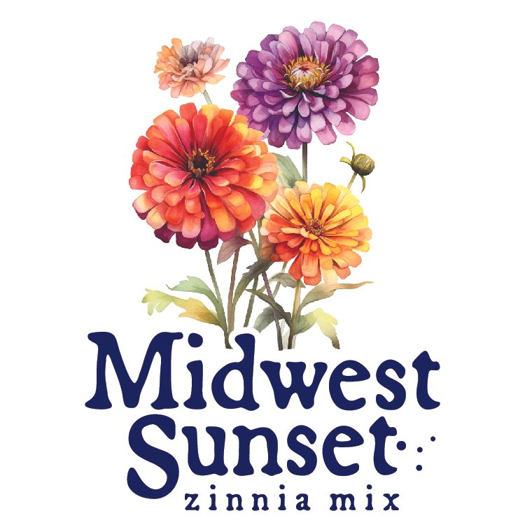 Zinnia Seed Pack