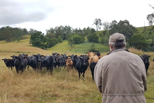 Inside Outside Management