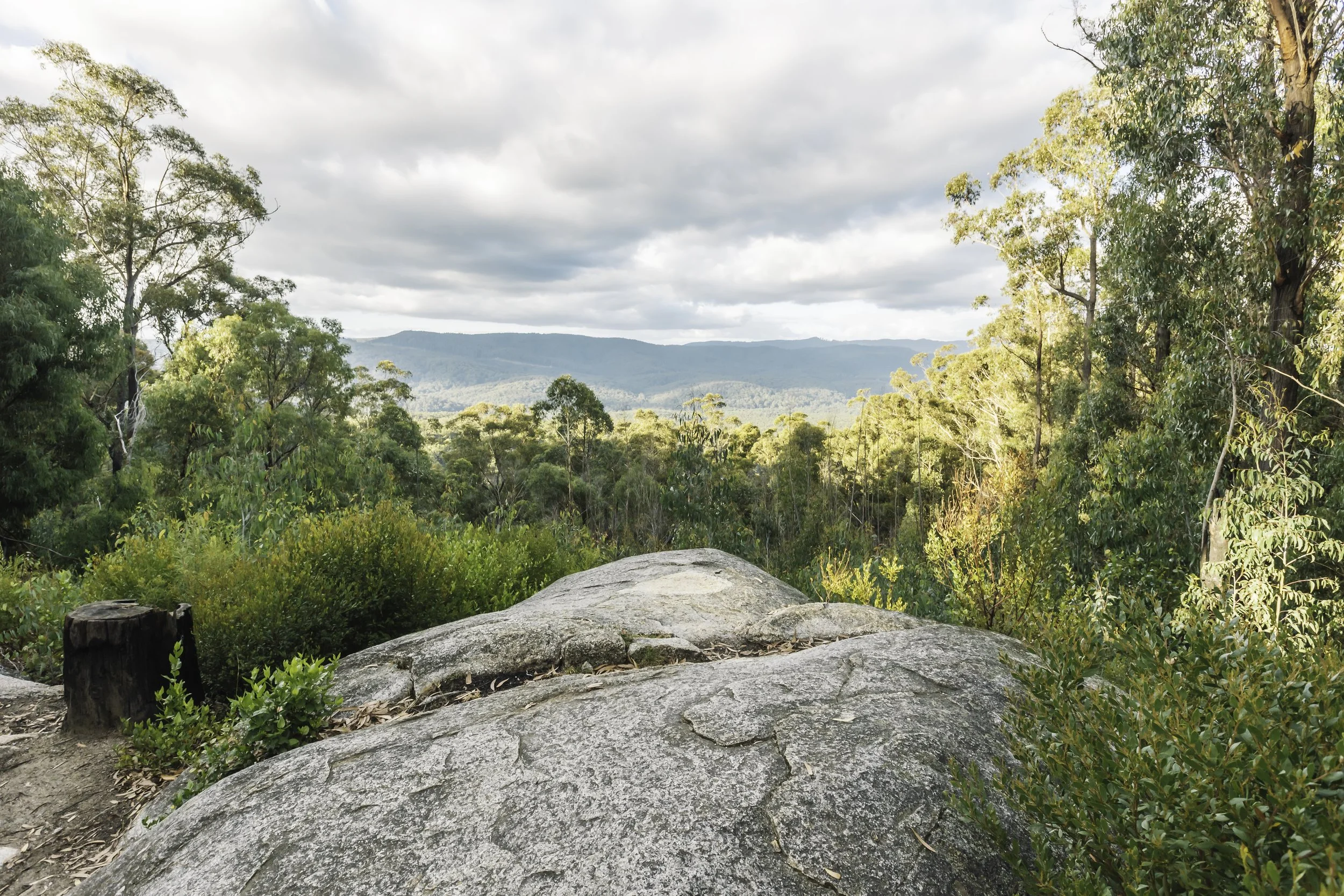 Bunyip State Park_Tynong North