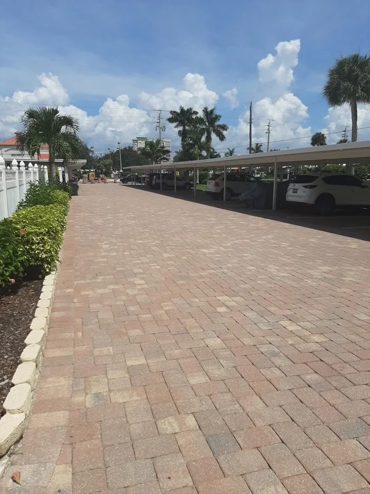 Dedicated carport for #703.  Visitor parking