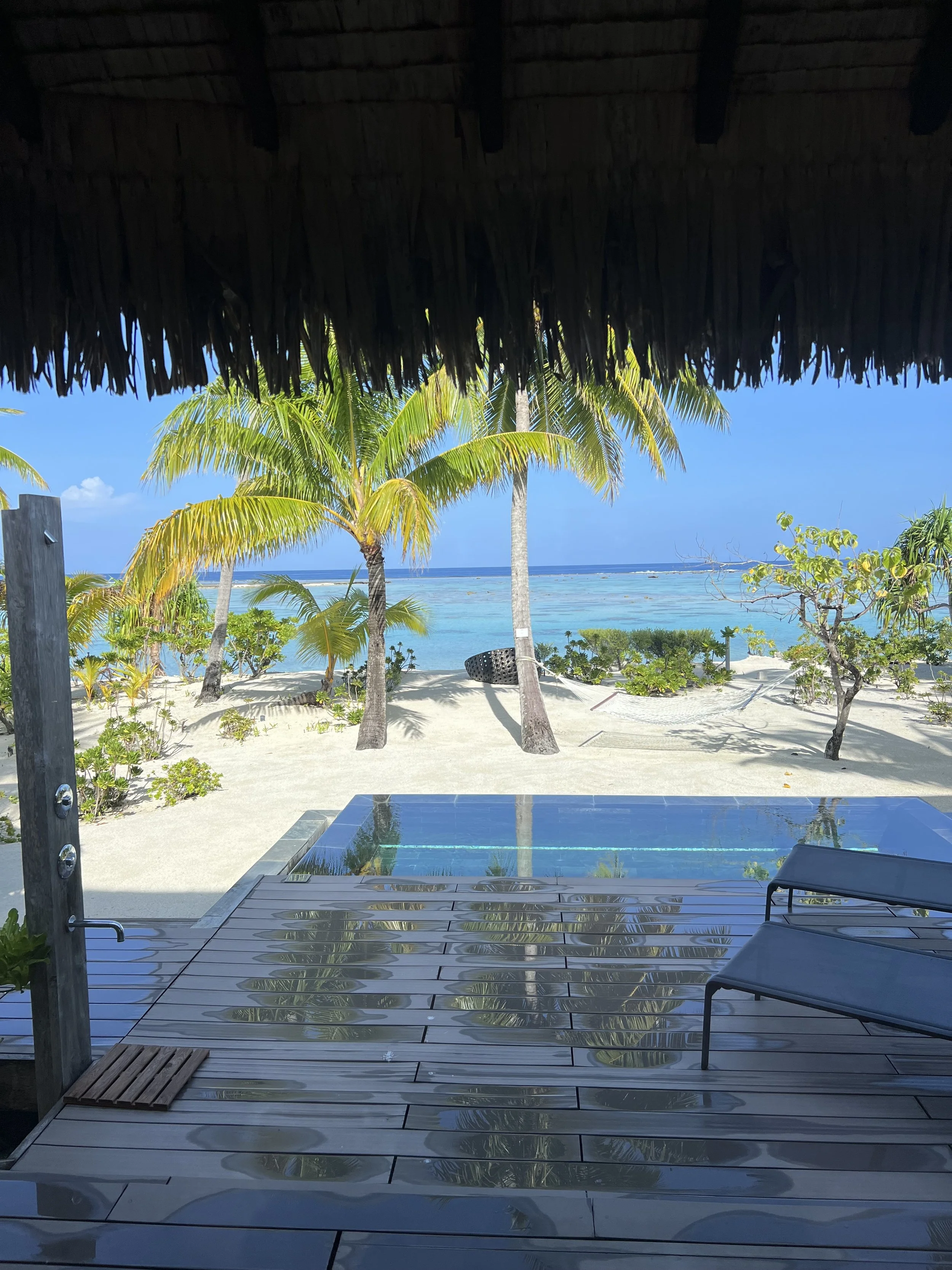 Villa Plunge Pool, The Brando