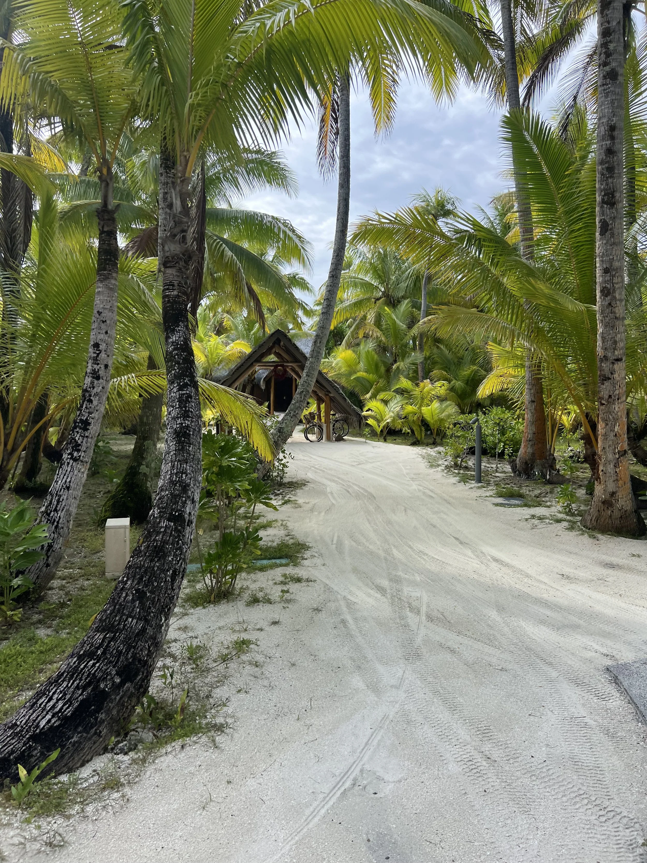 Villa Path, The Brando