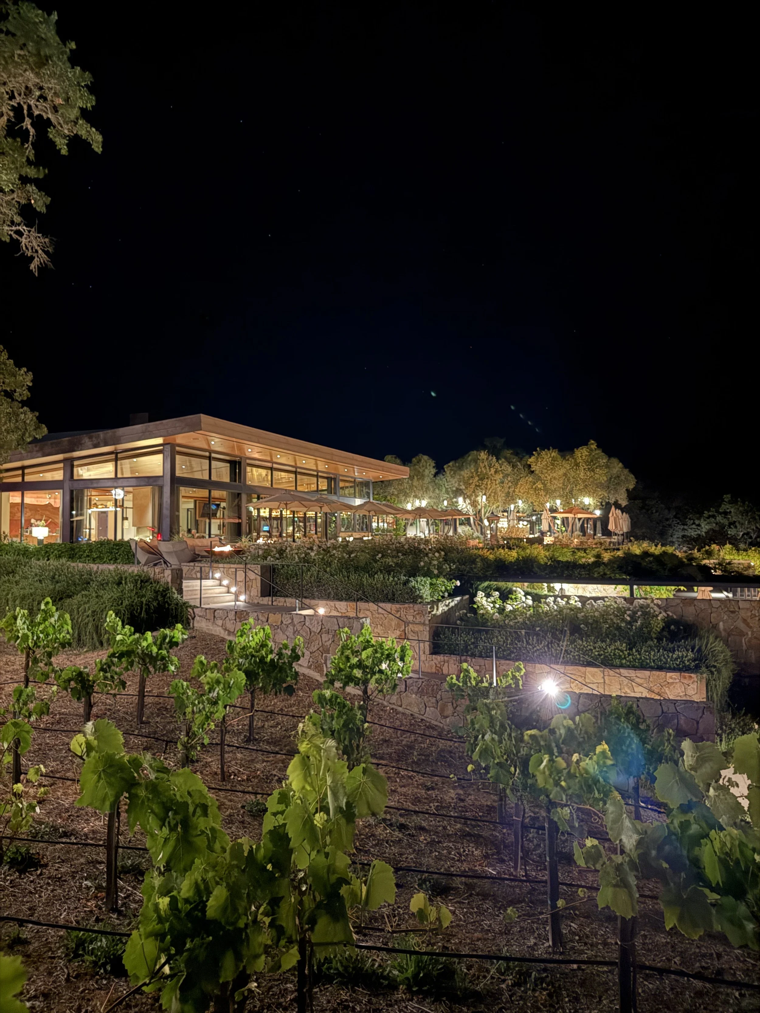 Montage Healdsburg: Luxury Redefined in Sonoma Wine Country