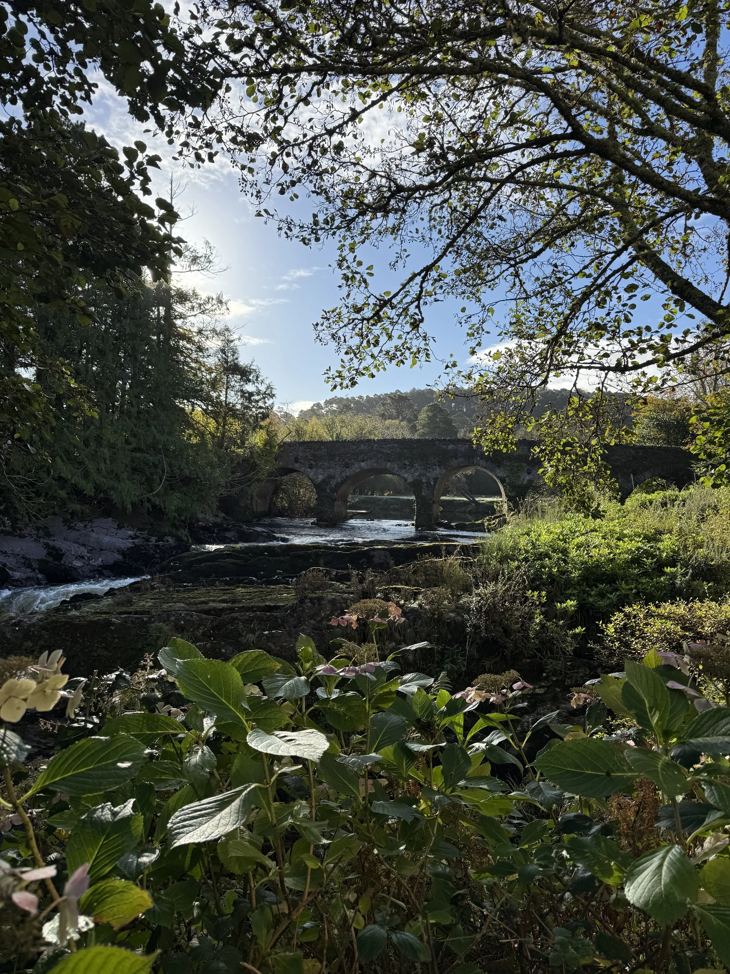 The Estate Grounds at Sheen Falls Lodge