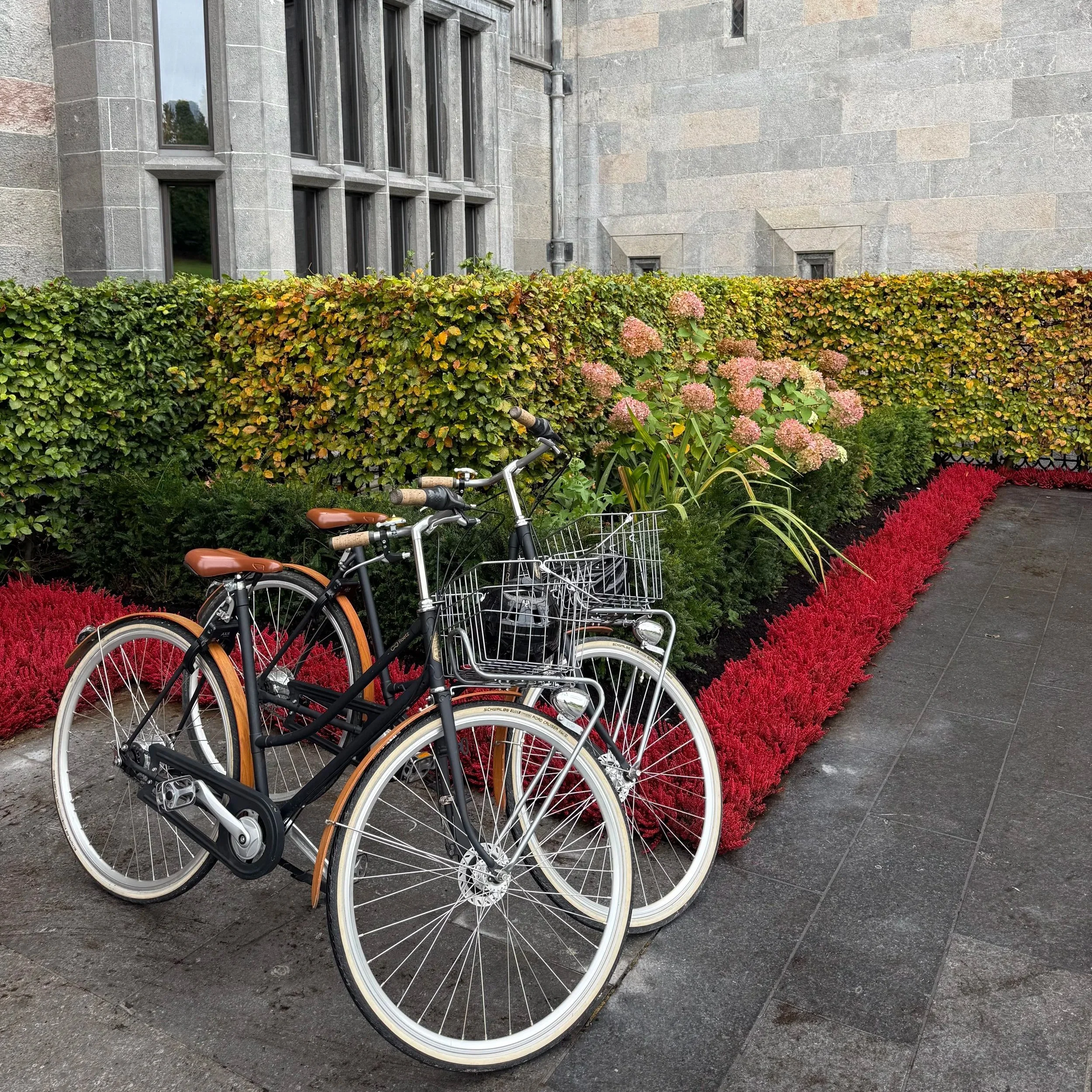Complimentary Pashley bikes available to guests at Adare Manor, County Limerick, Ireland, with seasonal red heather landscaping along the Gothic stone manor exterior.