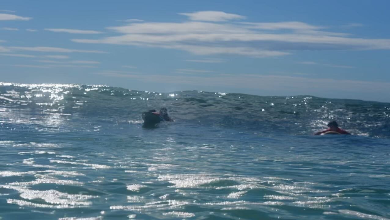 We have been having a ball teaching this Summer with waves like this! Jump online and book a group or private lesson over the Summer holidays via the link in our bio. 
Thanks josh for capturing this epic video 📸🙏#summer #surf #newcastlensw