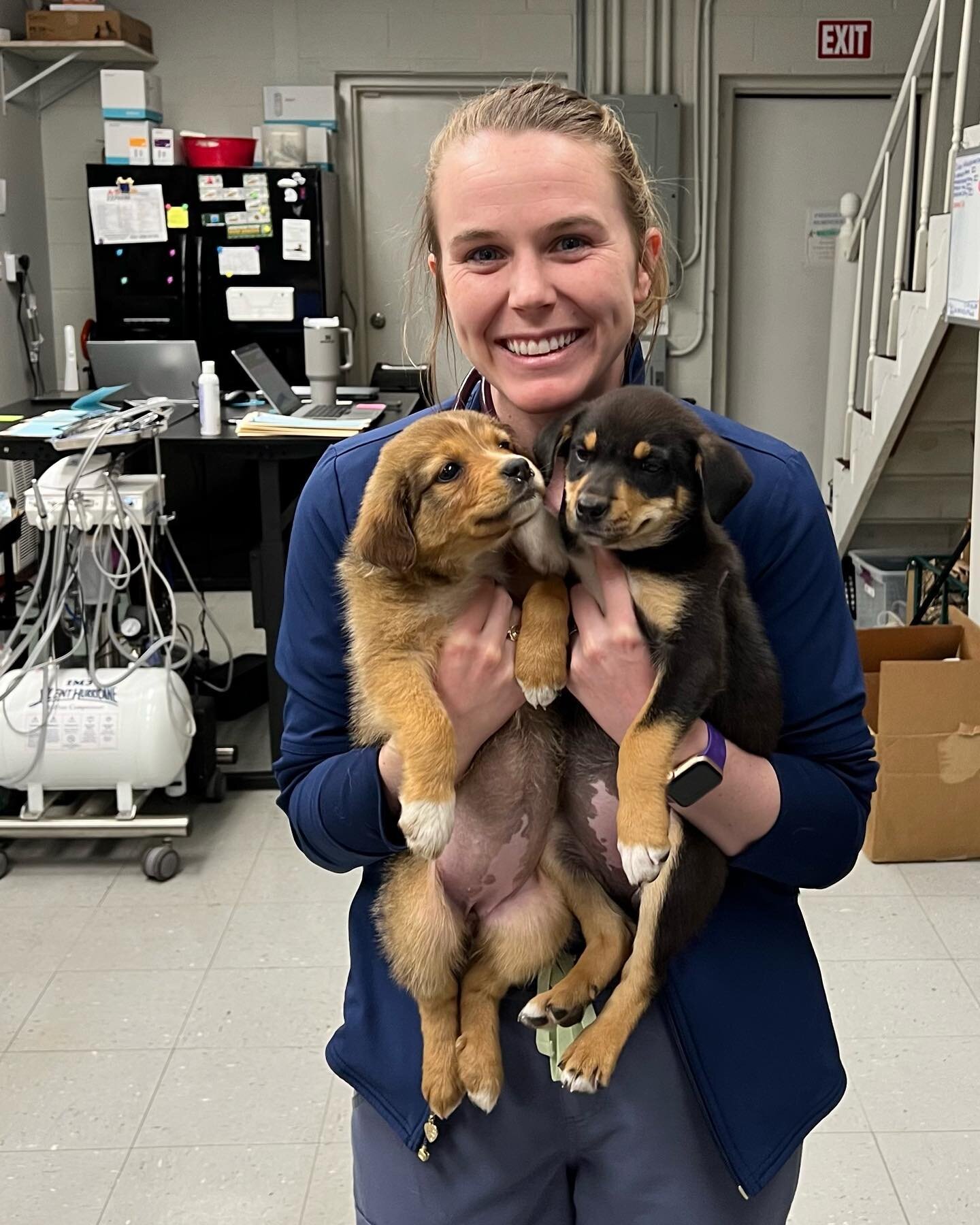 What an awesome week it&rsquo;s been having Dr. Eads on our team! We&rsquo;re so excited about the things she&rsquo;s bringing to Little Woods Animal Hospital! 🐾