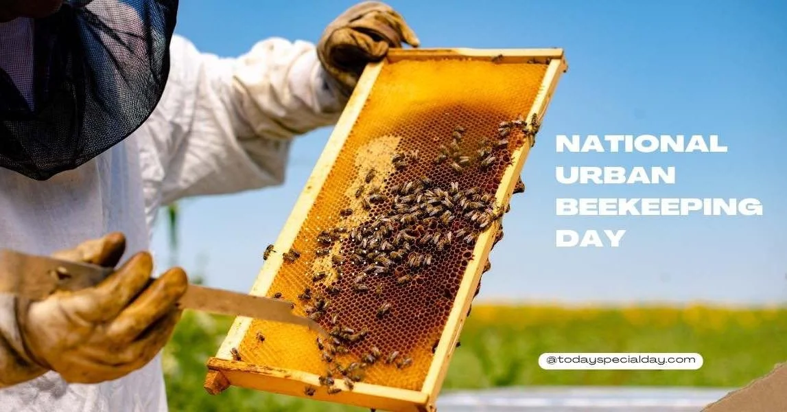 Happy National Urban Beekeeping Day! πΌπ
Today we’re giving a shoutout to one of the smallest, hardest-working heroes in our ecosystem — the bee! Urban and backyard beekeeping helps protect pollinator populations, support local ecosyst